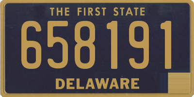 DE license plate 658191