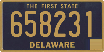DE license plate 658231