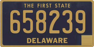 DE license plate 658239