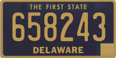 DE license plate 658243
