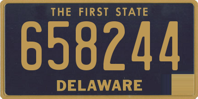 DE license plate 658244