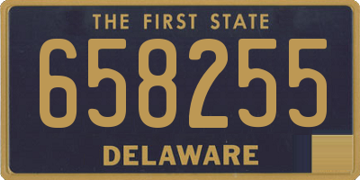 DE license plate 658255