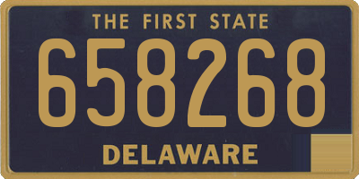 DE license plate 658268