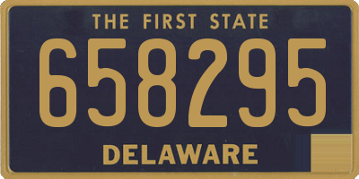 DE license plate 658295