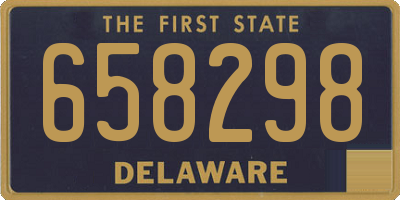 DE license plate 658298