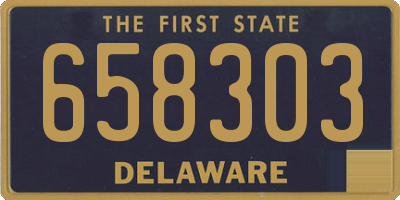 DE license plate 658303