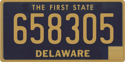 DE license plate 658305
