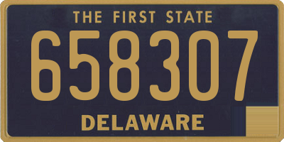DE license plate 658307