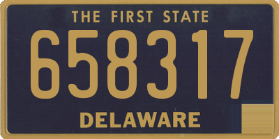 DE license plate 658317
