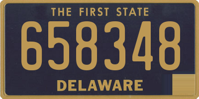 DE license plate 658348