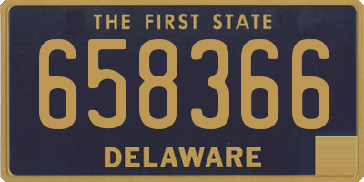 DE license plate 658366