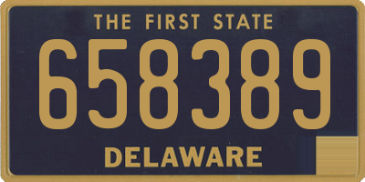 DE license plate 658389