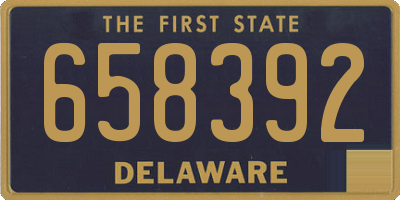 DE license plate 658392