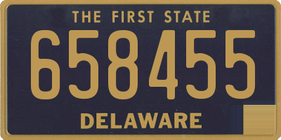 DE license plate 658455