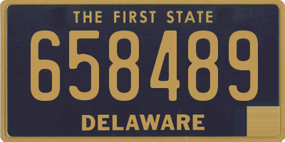 DE license plate 658489