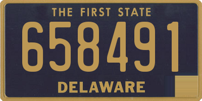 DE license plate 658491