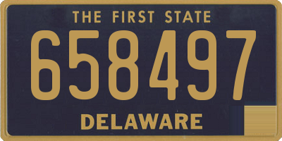 DE license plate 658497