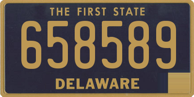 DE license plate 658589