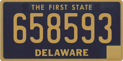 DE license plate 658593