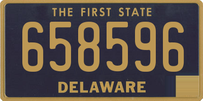DE license plate 658596