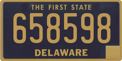 DE license plate 658598