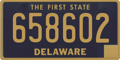DE license plate 658602