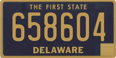 DE license plate 658604