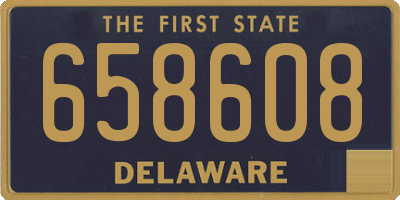 DE license plate 658608