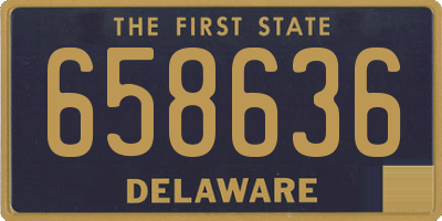 DE license plate 658636