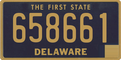 DE license plate 658661