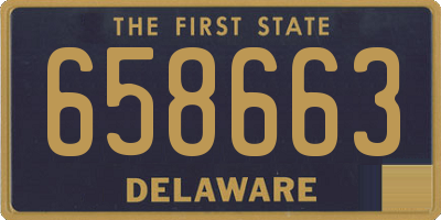 DE license plate 658663
