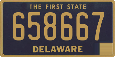 DE license plate 658667