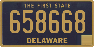 DE license plate 658668