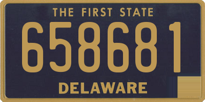 DE license plate 658681