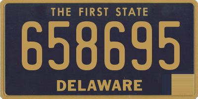 DE license plate 658695