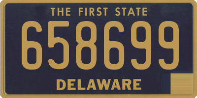 DE license plate 658699