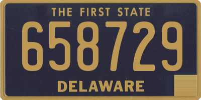 DE license plate 658729