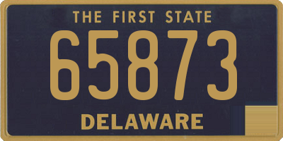 DE license plate 65873