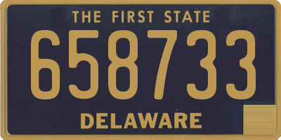 DE license plate 658733