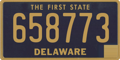 DE license plate 658773