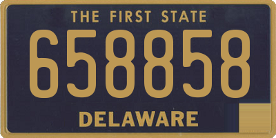 DE license plate 658858