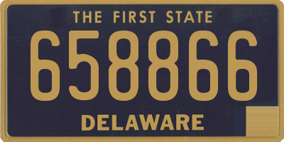 DE license plate 658866