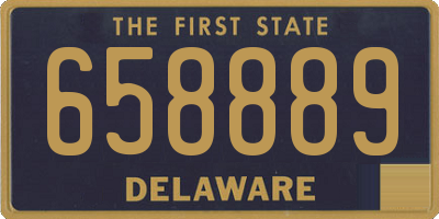 DE license plate 658889