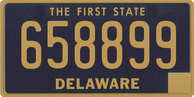 DE license plate 658899