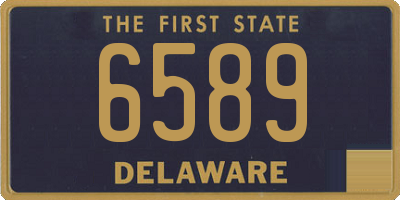 DE license plate 6589