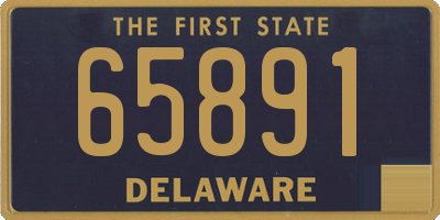 DE license plate 65891