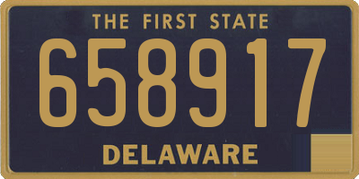 DE license plate 658917