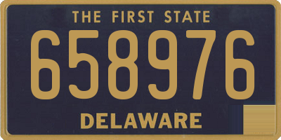 DE license plate 658976