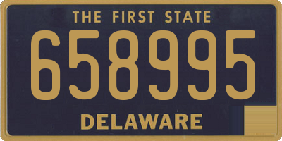 DE license plate 658995
