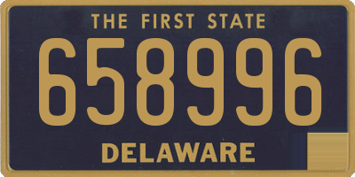 DE license plate 658996